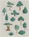 Picture of Trees Chart _GroupedProduct_Rectangle_Portrait_Mini_ _GroupedProduct_Rectangle_Portrait_Unframed_Print_Only_