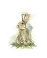 Picture of Sweety Rabbit _GroupedProduct_Rectangle_Portrait_Mini_ _GroupedProduct_Rectangle_Portrait_Unframed_Print_Only_
