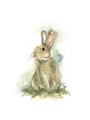 Picture of Sweety Rabbit _GroupedProduct_Rectangle_Portrait_Mini_ _GroupedProduct_Rectangle_Portrait_Unframed_Print_Only_