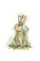 Picture of Sweety Rabbit _GroupedProduct_Rectangle_Portrait_Mini_ _GroupedProduct_Rectangle_Portrait_Unframed_Print_Only_