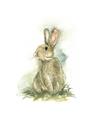 Picture of Sweety Rabbit _GroupedProduct_Rectangle_Portrait_Mini_ _GroupedProduct_Rectangle_Portrait_Unframed_Print_Only_