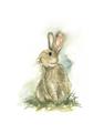 Picture of Sweety Rabbit _GroupedProduct_Rectangle_Portrait_Mini_ _GroupedProduct_Rectangle_Portrait_Unframed_Print_Only_