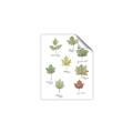 Picture of Leaves Chart _GroupedProduct_Rectangle_Portrait_Mini_ _GroupedProduct_Rectangle_Portrait_Unframed_Print_Only_