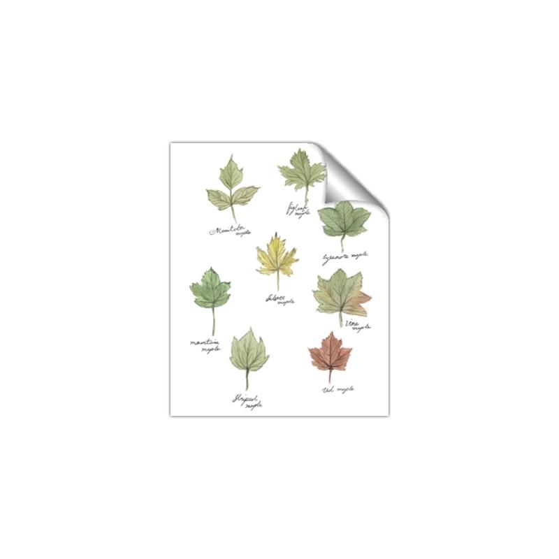 Picture of Leaves Chart _GroupedProduct_Rectangle_Portrait_Mini_ _GroupedProduct_Rectangle_Portrait_Unframed_Print_Only_