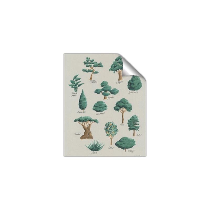 Picture of Trees Chart _GroupedProduct_Rectangle_Portrait_Mini_ _GroupedProduct_Rectangle_Portrait_Unframed_Print_Only_