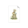 Picture of Sweety Rabbit _GroupedProduct_Rectangle_Portrait_Mini_ _GroupedProduct_Rectangle_Portrait_Unframed_Print_Only_