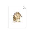 Picture of Shy Bunnies _GroupedProduct_Rectangle_Portrait_Mini_ _GroupedProduct_Rectangle_Portrait_Unframed_Print_Only_