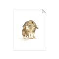 Picture of Shy Bunnies _GroupedProduct_Rectangle_Portrait_Mini_ _GroupedProduct_Rectangle_Portrait_Unframed_Print_Only_
