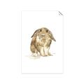 Picture of Shy Bunnies _GroupedProduct_Rectangle_Portrait_Mini_ _GroupedProduct_Rectangle_Portrait_Unframed_Print_Only_