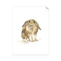 Picture of Shy Bunnies _GroupedProduct_Rectangle_Portrait_Mini_ _GroupedProduct_Rectangle_Portrait_Unframed_Print_Only_
