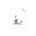 Picture of Duck and Chicks _GroupedProduct_Rectangle_Portrait_Mini_ _GroupedProduct_Rectangle_Portrait_Unframed_Print_Only_