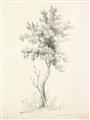 Picture of Tall Tree II _GroupedProduct_Rectangle_Portrait_Unframed_Print_Only_