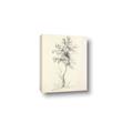 Picture of Tall Tree II _GroupedProduct_Rectangle_Portrait_Canvas_