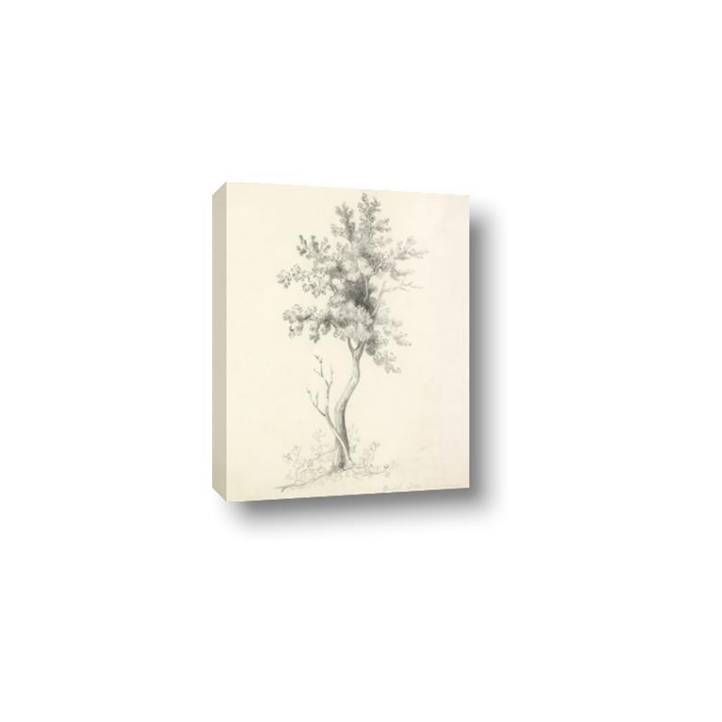 Picture of Tall Tree II _GroupedProduct_Rectangle_Portrait_Canvas_