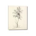 Picture of Tall Tree II _GroupedProduct_Rectangle_Portrait_Canvas_