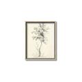 Picture of Tall Tree II _GroupedProduct_Rectangle_Portrait_Canvas_Framed_