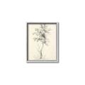 Picture of Tall Tree II _GroupedProduct_Rectangle_Portrait_Canvas_Framed_