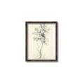 Picture of Tall Tree II _GroupedProduct_Rectangle_Portrait_Canvas_Framed_