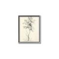 Picture of Tall Tree II _GroupedProduct_Rectangle_Portrait_Canvas_Framed_
