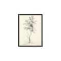 Picture of Tall Tree II _GroupedProduct_Rectangle_Portrait_Canvas_Framed_