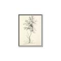 Picture of Tall Tree II _GroupedProduct_Rectangle_Portrait_Canvas_Framed_