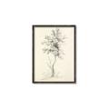 Picture of Tall Tree II _GroupedProduct_Rectangle_Portrait_Canvas_Framed_