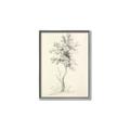 Picture of Tall Tree II _GroupedProduct_Rectangle_Portrait_Canvas_Framed_