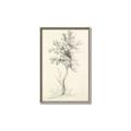 Picture of Tall Tree II _GroupedProduct_Rectangle_Portrait_Canvas_Framed_