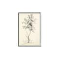 Picture of Tall Tree II _GroupedProduct_Rectangle_Portrait_Canvas_Framed_