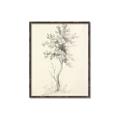 Picture of Tall Tree II _GroupedProduct_Rectangle_Portrait_Canvas_Framed_