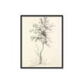 Picture of Tall Tree II _GroupedProduct_Rectangle_Portrait_Canvas_Framed_