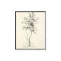 Picture of Tall Tree II _GroupedProduct_Rectangle_Portrait_Canvas_Framed_