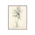 Picture of Tall Tree II _GroupedProduct_Rectangle_Portrait_Canvas_Framed_