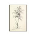 Picture of Tall Tree II _GroupedProduct_Rectangle_Portrait_Canvas_Framed_