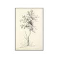 Picture of Tall Tree II _GroupedProduct_Rectangle_Portrait_Canvas_Framed_