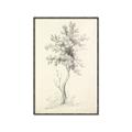 Picture of Tall Tree II _GroupedProduct_Rectangle_Portrait_Canvas_Framed_