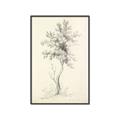 Picture of Tall Tree II _GroupedProduct_Rectangle_Portrait_Canvas_Framed_