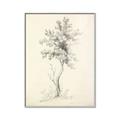 Picture of Tall Tree II _GroupedProduct_Rectangle_Portrait_Canvas_Framed_