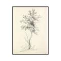 Picture of Tall Tree II _GroupedProduct_Rectangle_Portrait_Canvas_Framed_