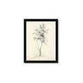 Picture of Tall Tree II _GroupedProduct_Rectangle_Portrait_Framed_Matted_