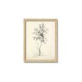 Picture of Tall Tree II _GroupedProduct_Rectangle_Portrait_Framed_Matted_