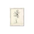 Picture of Tall Tree II _GroupedProduct_Rectangle_Portrait_Framed_Matted_