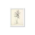 Picture of Tall Tree II _GroupedProduct_Rectangle_Portrait_Framed_Matted_
