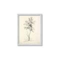 Picture of Tall Tree II _GroupedProduct_Rectangle_Portrait_Framed_Matted_