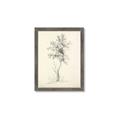 Picture of Tall Tree II _GroupedProduct_Rectangle_Portrait_Framed_Matted_