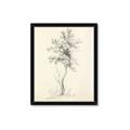 Picture of Tall Tree II _GroupedProduct_Rectangle_Portrait_Framed_Matted_