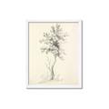 Picture of Tall Tree II _GroupedProduct_Rectangle_Portrait_Framed_Matted_