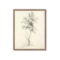 Picture of Tall Tree II _GroupedProduct_Rectangle_Portrait_Framed_Matted_