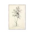 Picture of Tall Tree II _GroupedProduct_Rectangle_Portrait_Framed_Matted_
