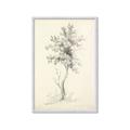 Picture of Tall Tree II _GroupedProduct_Rectangle_Portrait_Framed_Matted_